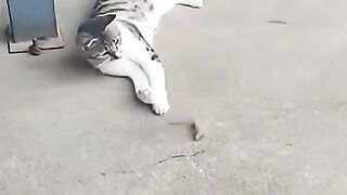 He Thought He Was a Fierce Hunter Until This Happened...
