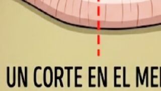 ¿Qué pasa si se corta una lombriz a la mitad?