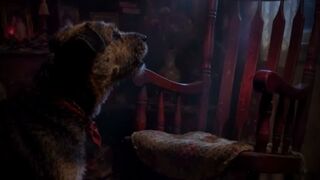 The Chair Barked Back At My Dog 😱 | Horror Story #shorts