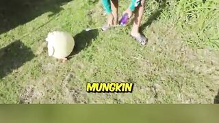 LOMPATANNYA TINGGI, TERUS MENGHILANG?! 😱 #shorts
