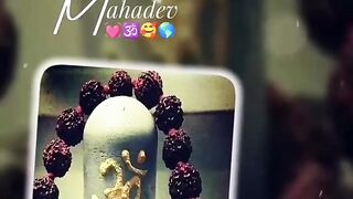 Stay Strong Without Excuses and Your Life Will Change | NaveenTechTalks | n4ve4nx00