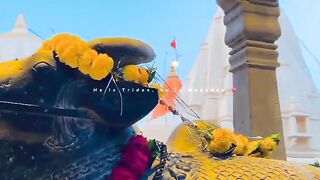 How to Turn Regret Into Excellence: Silence Your Doubts With Results | NaveenTechTalks | n4ve4nx00