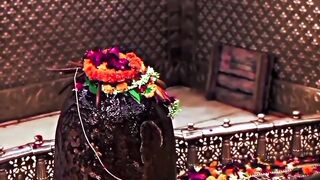 From Burnout to Wealth: Stay Consistent | NaveenTechTalks | n4ve4nx00