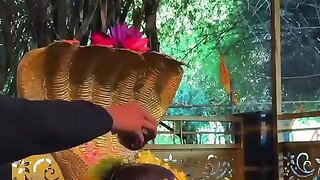 This Year, Win - Hard Work Never Lies | NaveenTechTalks | n4ve4nx00