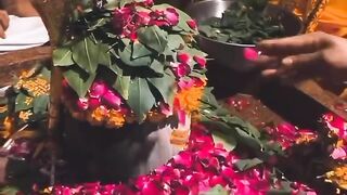Fall Seven Times, Stand Up Eight | Positive Attitude | NaveenTechTalks | n4ve4nx00