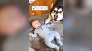 Adorable Babies & Dogs 🥰🐶 | The Cutest and Funniest Moments Ever!