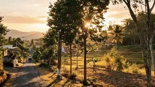 Golden Hour in the Countryside