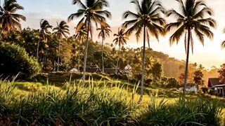 Serene Morning in a Tropical Village