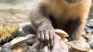 Rub the shells while laughing