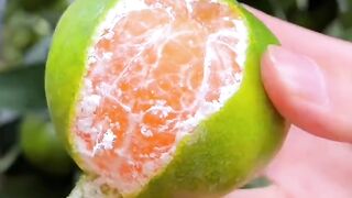 Orange🧡hmmm it tastes nice👍🧡