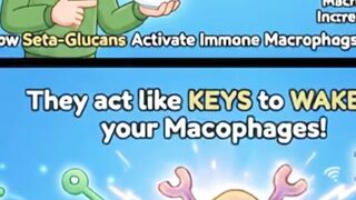How Beta Glucans Activate Immune Macrophage