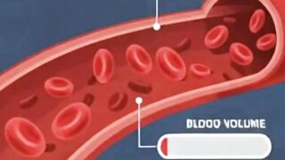 How Dehydration Decreases Blood Volune and Energy?