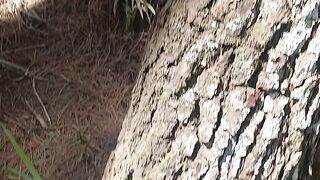 Mountain Views | Relaxing Nature