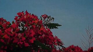 Start Even When It Hurts and Doors Start Opening | NaveenTechTalks | n4ve4nx00