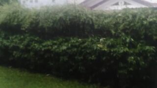 hujan sore
