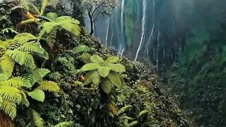 Fearless Self: Push When Everyone Doubts You | NaveenTechTalks | n4ve4nx00