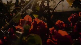 From Pain to Growth: Work Hard | NaveenTechTalks | n4ve4nx00