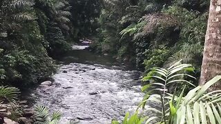 suasana alam