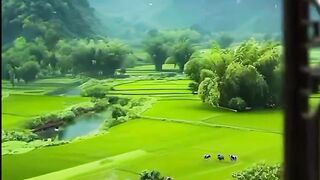 Islamic video background