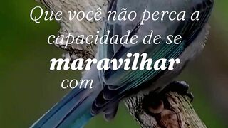 Mais uma mensagem linda!