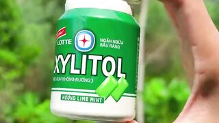 Survival Skills  SMART idea and USEFUL in forest #bushcraft #camping #outdoors #survival 57