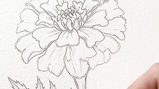 Beautiful Flower Drawing & Painting 🌸✨ | Satisfying ASMR Art