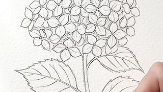Beautiful Flower Drawing & Painting 🌸✨ | Satisfying ASMR Art 2