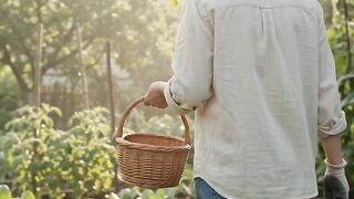 A Peaceful Morning in My Garden 🌱 | Planting Vegetable Seeds