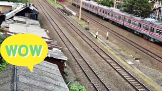 Three Trains amaze
