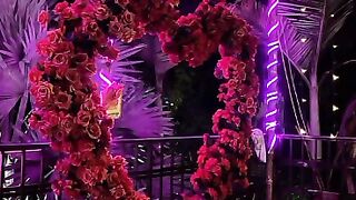 Video for febspot 25