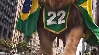 Assim como o O LEÃO DA TRIBO DE JUDÁ  sairemos vencedores nessa batalha! 🇧🇷2️⃣2️⃣🙌✨.mp4