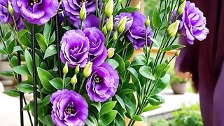 Beautiful Purple Lisianthus Flowers 💜✨