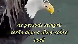 reflexão 7