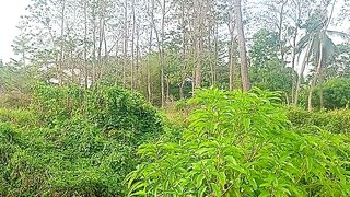 Nature 373