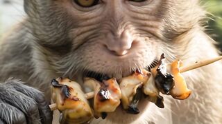 Monkey finds snail nest