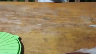 cats disturb people while they are eating