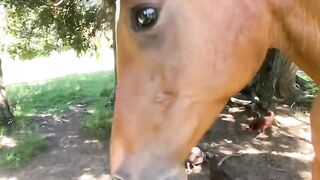 These Rescue Animals Saved Each Other and Left Us SPEECHLESS 🥺❤️