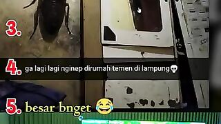 🤣 TOP 5 REACTION TERLUCU! NGAKAK SAMPAI SAKIT PERUT 😂🔥 REAKSI BANG YANG BIKIN PECah!