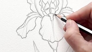 Beautiful Flower Drawing & Painting 🌸✨ | Satisfying ASMR Art 6