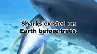 Mind-Blowing Facts: Sharks Existed Before Trees and Saturn’s Rings!