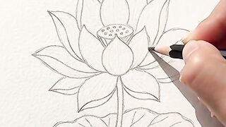 Beautiful Flower Drawing & Painting 🌸✨ | Satisfying ASMR Art 8