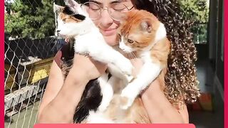 GATOS NÃO QUEREM NADA NADA COM NADA