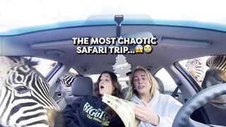 NEVER Feed Wild Animals!! 😱🦁 Safari Chaos Goes WRONG 🤣