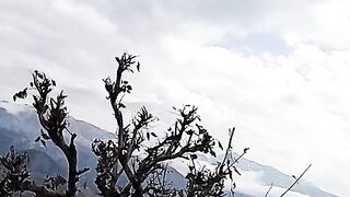 Neutrl beauty of pakistan