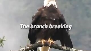 Success Motivation