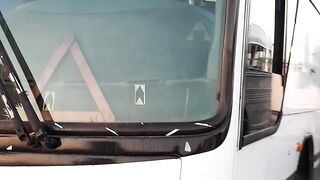 Mercedeis morcopolo