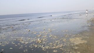 Polution at karachi sea