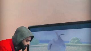 funny videos 2023