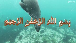 Quran Majeed Surat ul Qadr