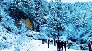 Naran Kaghan Road Now Days Heavy Snowfall